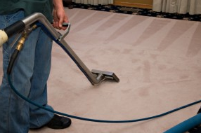 Carpet Cleaning