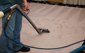 Carpet Cleaning