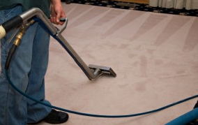 Carpet Cleaning